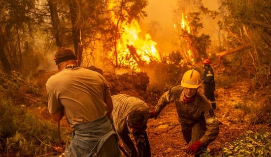 Cháy rừng hoành hành, LHQ phát “báo động đỏ” - Tạp chí điện tử Công an nhân dân