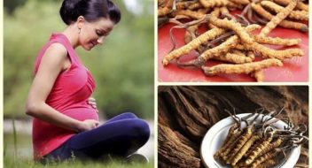Có bầu uống đông trùng hạ thảo được không?