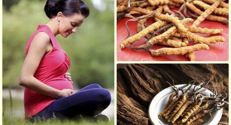 Có bầu uống đông trùng hạ thảo được không?