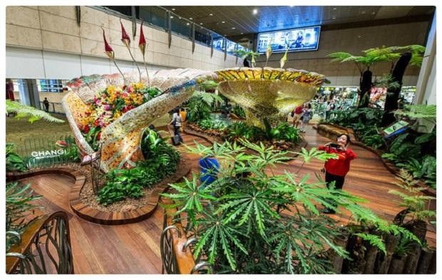 Singapore có mấy sân bay? Có gì đẹp tại sân bay Singapore?